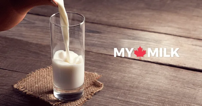 dairy farmers of canada